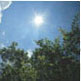 Image of the sun